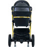 Детская коляска 2 в 1 Venicci Gold Black